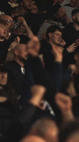 West Brom Wba GIF by West Bromwich Albion