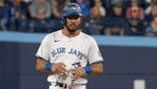 Blue Jays Baseball GIF by Toronto Blue Jays