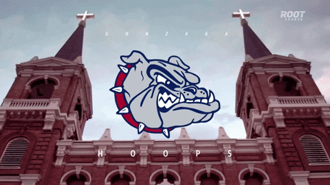 Bulldogs Gonzaga GIF by ROOT SPORTS NW