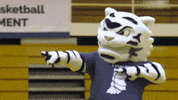TrineUniversity storm trine university trineu GIF