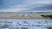 group run GIF by CBC