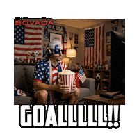 Team Usa Sticker by Bovada