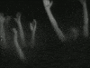 ugh spreading it out f. w. murnau GIF by Maudit