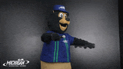 MISpeedway nascar mic drop mic drop GIF