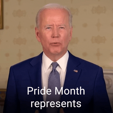 Represents Joe Biden GIF by The Democrats