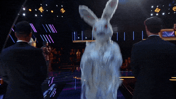 season 1 singing GIF by Fox TV