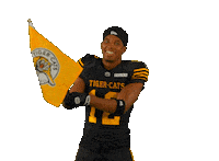 Tiger-Cats Cfl Sticker by Hamilton Sports Group