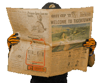 Tiger-Cats Cfl Sticker by Hamilton Sports Group