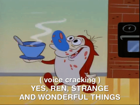 ren and stimpy nicksplat GIF