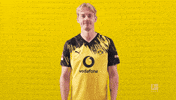 Borussia Dortmund Love GIF by Bundesliga