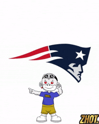 New England Patriots Football GIF by Zhot
