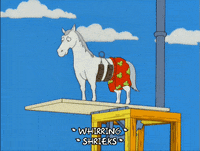 season 11 episode 13 GIF