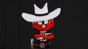 TexasTechRedRaiders texas tech red raiders raider red GIF