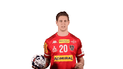HandballAustria handball ohb handball austria sebastian frimmel Sticker