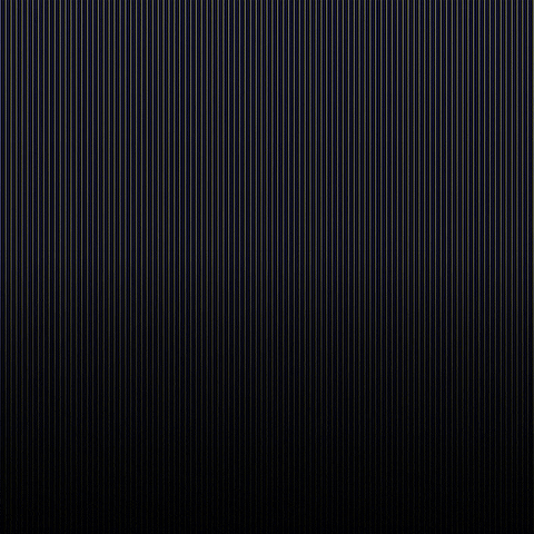 mariashutak giphyupload GIF