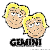 gemini STICKER