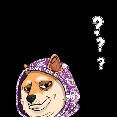 Shiba Inu What GIF by Doge Pound
