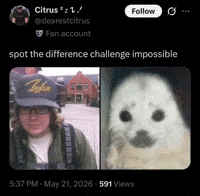 Fall Out Boy Seal GIF
