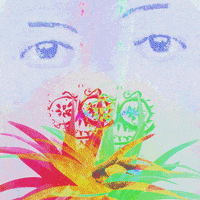 pattern vibes GIF