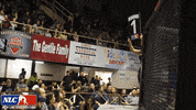 Lets Go Mma GIF by New Line Cagefighting