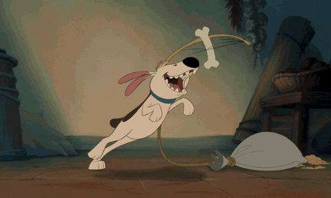 Little Brother Dog GIF by Disney