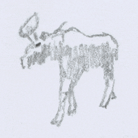 Walk Cow GIF by James Thacher