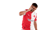 Football Soccer Sticker by SK Slavia Praha