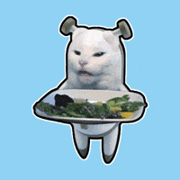 Shocked Cat GIF