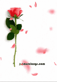 Bendiciones Crean GIF by Murcianys LLC