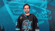 San Jose Love GIF by San Jose Barracuda