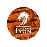 France Bike Sticker by Corbas Lyon Metropole