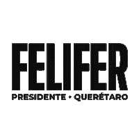 Queretaro Sticker by Accion Nacional