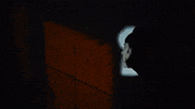 Spying Music Video GIF by Vundabar
