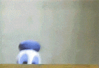mouse donald GIF