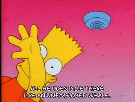 Season 1 Episode 3 GIF by The Simpsons