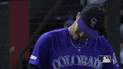 Major League Baseball Sport GIF by MLB