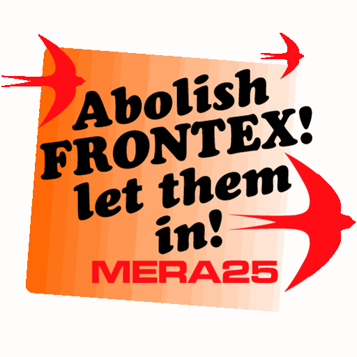 MERA25 giphyupload eu mera europeanelections GIF
