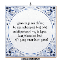 Humor Wijsheid Sticker by Tegelspreuken.nl