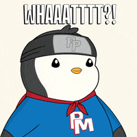 Excuse Me What GIF by Pudgy Penguins