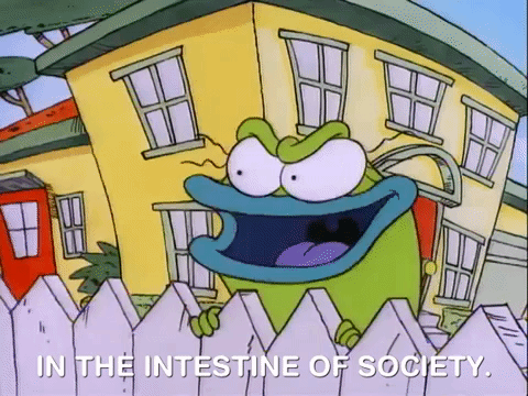 rockos modern life nicksplat GIF
