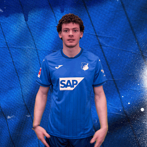Sport Bundesliga GIF by TSG Hoffenheim