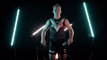 Afl GIF by Port Adelaide FC