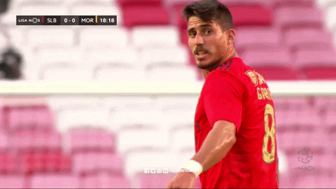 Sl Benfica Point GIF by Sport Lisboa e Benfica