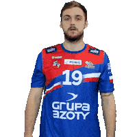 Handball Pgnigsuperliga Sticker by KS Azoty-Puławy S.A.