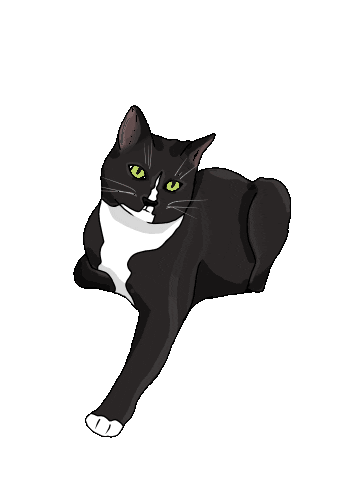 Black Cat Sticker