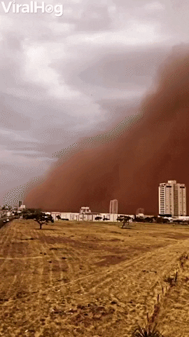 Large Haboob Approaches City In Brazil GIF by ViralHog