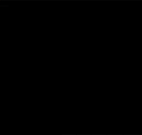 subtropikal festival musica arte criatividade GIF