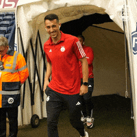 AberdeenFC football soccer peace aberdeen GIF