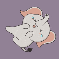 untamedelephants funny cute lol animals GIF