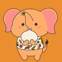 untamedelephants happy cute animals hungry GIF
